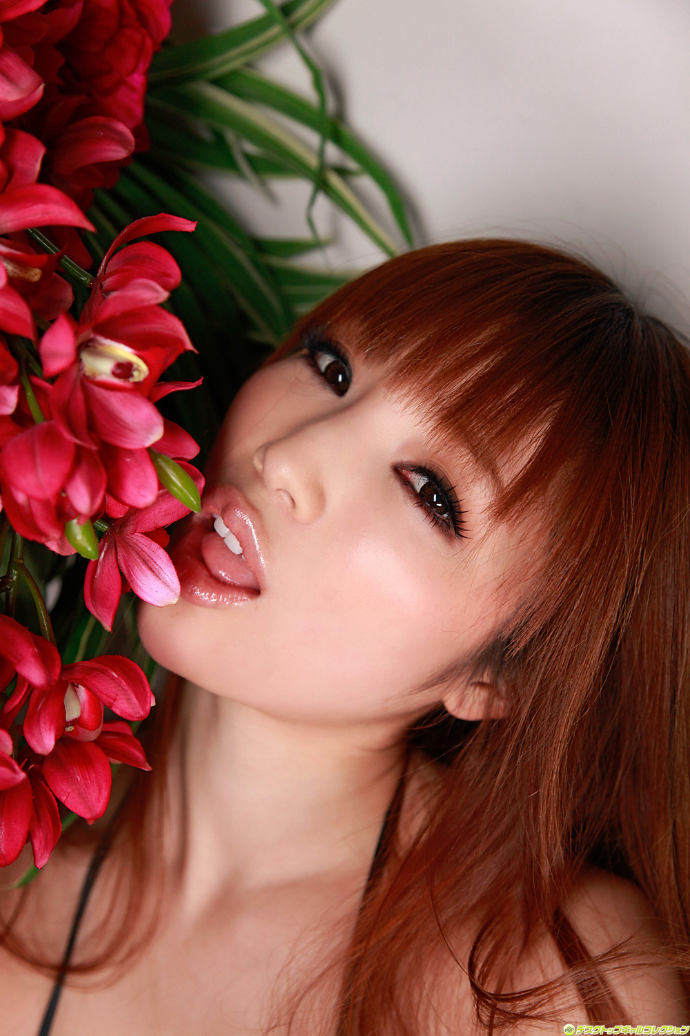 No.924 森下悠里 Yuuri Morishita [DGC] 日本美女诱惑性感套图